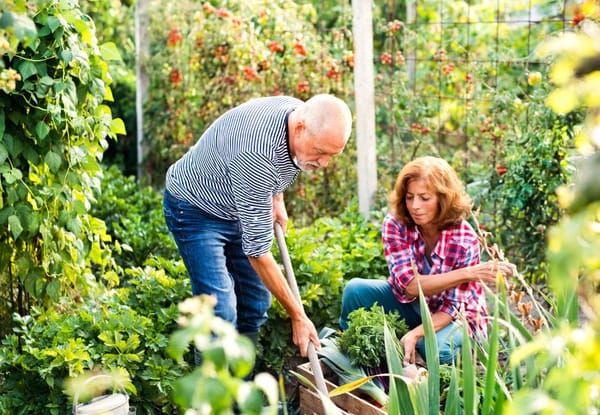 Jardiner en couple ou en famille : 4 conseils précieux !