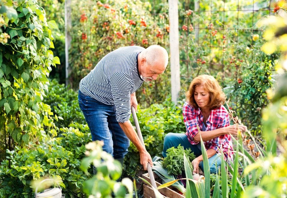 Jardiner en couple ou en famille : 4 conseils précieux !